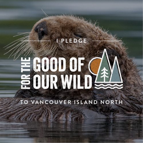 VINT Wilderness pledge_otter
